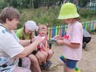 IMG-20230903-WA0021