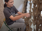 IMG-20231004-WA0017