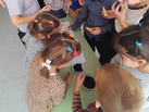 IMG-20231010-WA0173