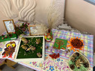 IMG-20231012-WA0012