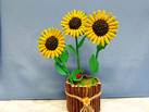 IMG-20231026-WA0048