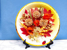 IMG-20231026-WA0050