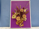 IMG-20231026-WA0051