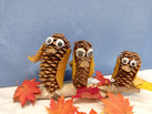 IMG-20231026-WA0052