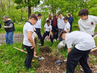 IMG_20260520_162915_676