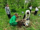IMG_20260520_162915_684