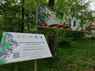 IMG_20260520_162920_876