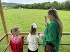 IMG_20260617_112609_998