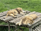 IMG_20260617_112610_007