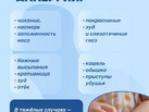 6_аллергия3