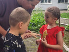 IMG_20260715_122234_599