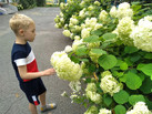 IMG_20260724_134356_551