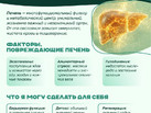 10_ПРОФИЛАКТИКА  ЗАБОЛЕВАНИЙ  ПЕЧЕНИ