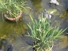 IMG-20180725-WA0042