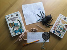 IMG-20220721-WA0061