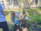 IMG-20220908-WA0167