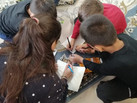 IMG-20221022-WA0029