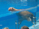 IMG-20230526-WA0032