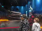 IMG-20230526-WA0034