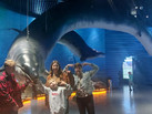 IMG-20230526-WA0035