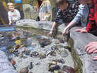 IMG-20230526-WA0039
