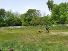 IMG-20230601-WA0066