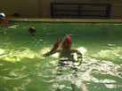 IMG-20230617-WA0016