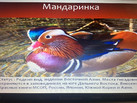 IMG-20230714-WA0042