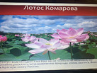 IMG-20230714-WA0043