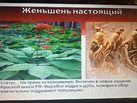 IMG-20230714-WA0046