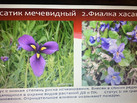 IMG-20230714-WA0047