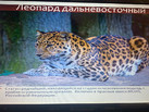 IMG-20230714-WA0048