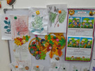 IMG-20230719-WA0050