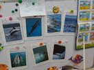 IMG-20230724-WA0001
