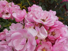 IMG-20230802-WA0075