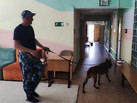 IMG-20230803-WA0018