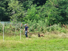 IMG-20230803-WA0019