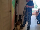 IMG-20230803-WA0026